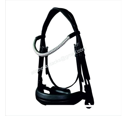 Leather Bridle 